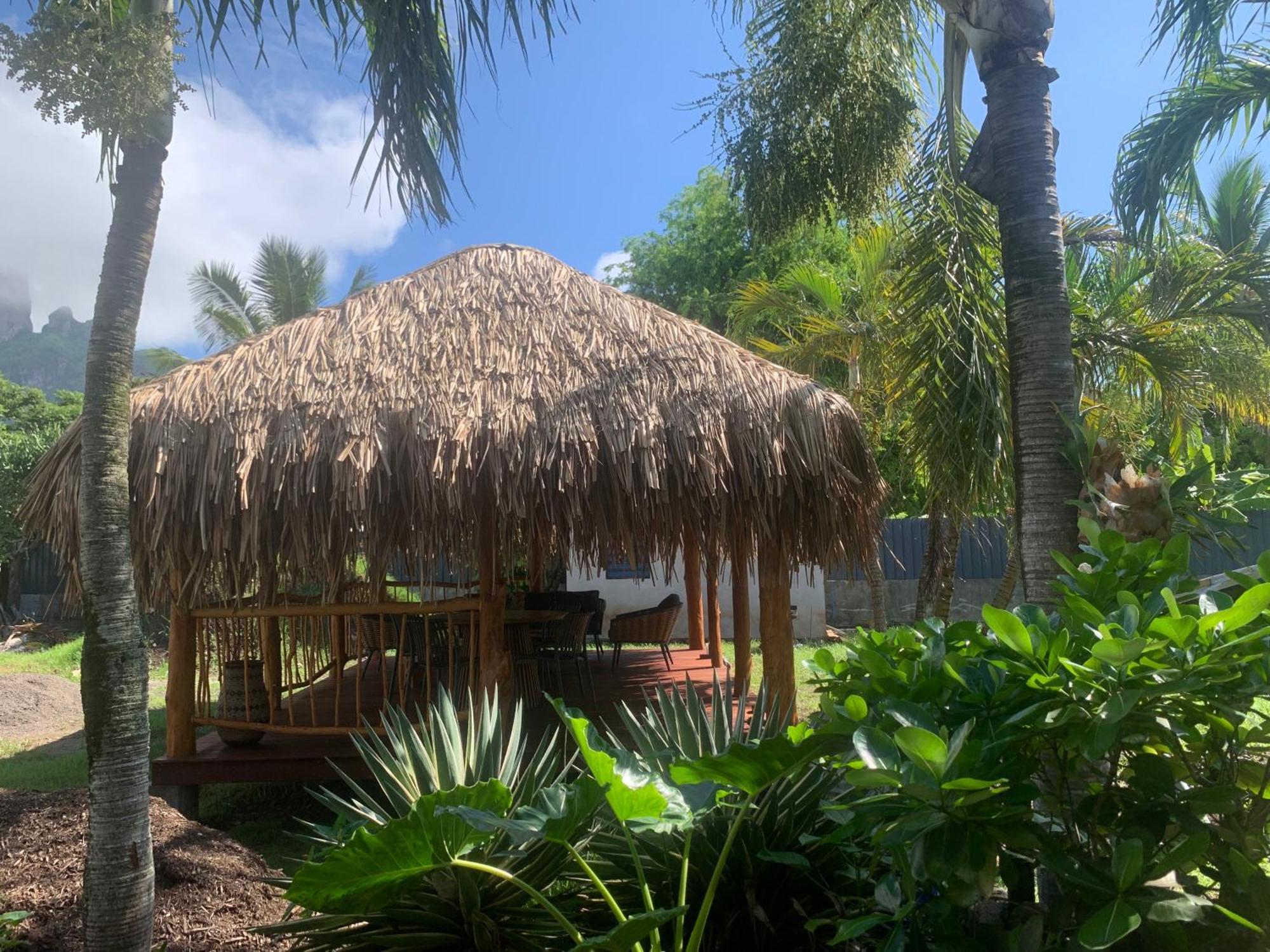 Tiki Ora - Manu